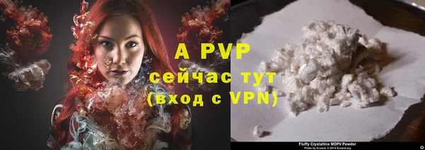 стаф Аркадак