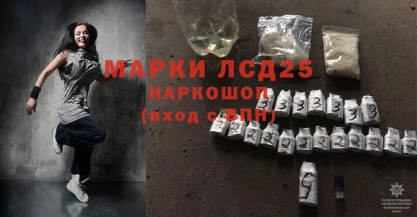 стаф Аркадак